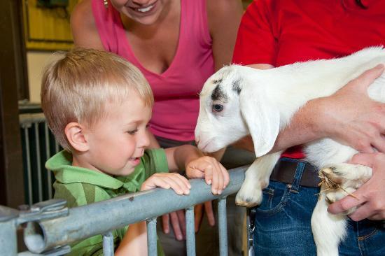 Canada Agriculture and Food Museum